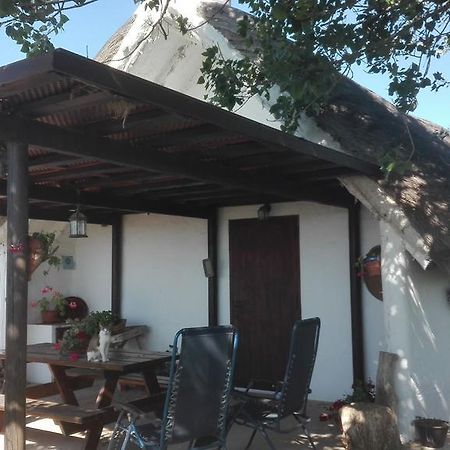 La Barraca D'En Salvador Villa Deltebre Kültér fotó