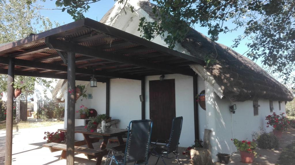 La Barraca D'En Salvador Villa Deltebre Kültér fotó